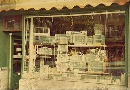 Schaufenster 1980